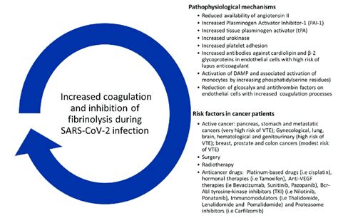 Pathophysiological Mechanisms Related To The Coagulation Dysfunctions