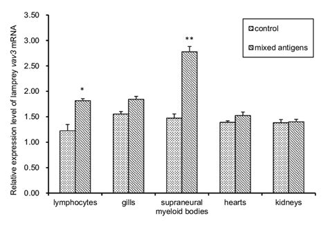 The Relative Expression Levels Of The Lamprey Vav3 Mrna In