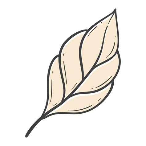 Organic Autumn Leaf Outline Decoration 28580836 Vector Art At Vecteezy