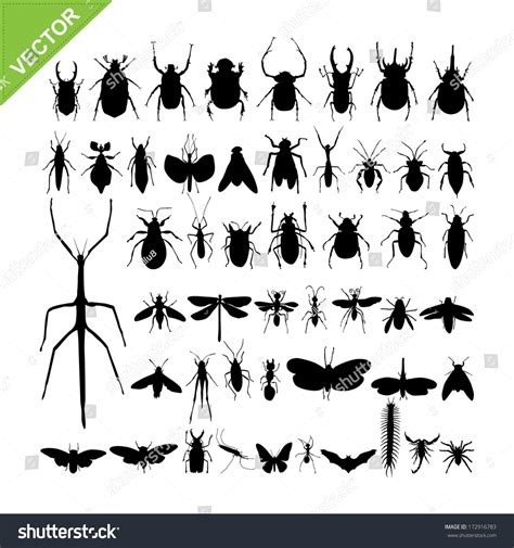 Insect Silhouettes Vector Stock Vector Royalty Free 172916783