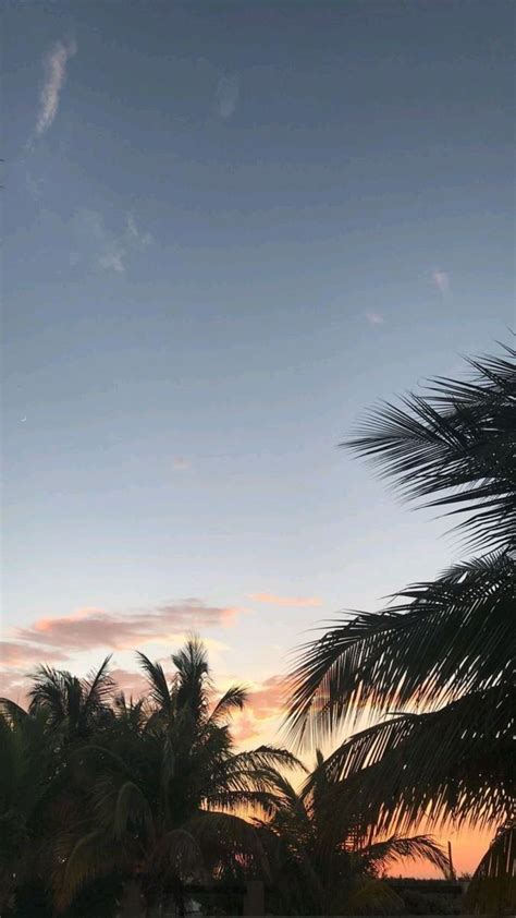 Pondicherry Puducherry Sky Aesthetic Sky Photography Nature Sunset