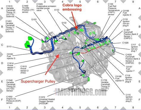 Coyote Engine Harness Diagram Headcontrolsystem