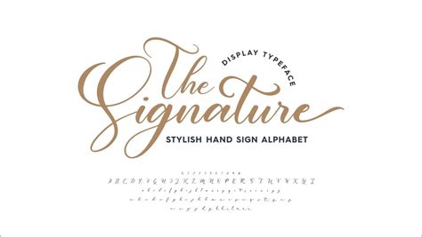 Premium Vector | Script font display alphabet handwriting signature ...