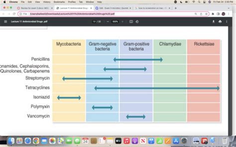 Exam 3 Microbio Flashcards Quizlet