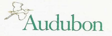 National Audubon Society | Backyard Bird Center