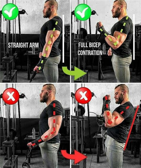 How To Do A Biceps Cable Curl Techniques Benefits