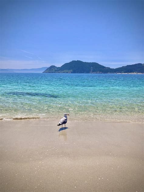 Islas Cíes 1 paraíso en Vigo Galicia en el norte de España