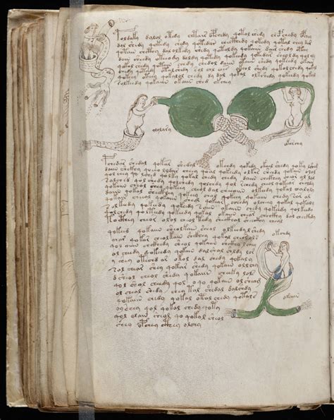 The Voynich Gallery The Complete Manuscript 4