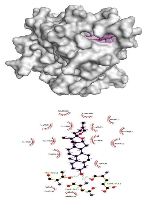 Diagram Of The Molecular Docking Patterns Between The Components And