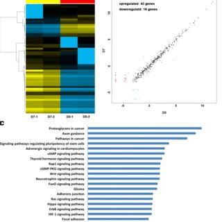 The Differential Expression Of Mirnas A Heatmap Showing The Relative