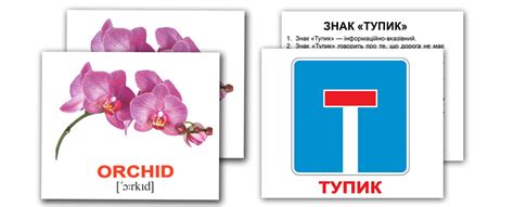 Как выбрать карточки Домана? - Карточки Домана