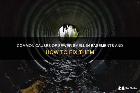 Common Causes Of Sewer Smell In Basements And How To Fix Them Shunshelter