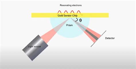 What is SPR? How does SPR work?