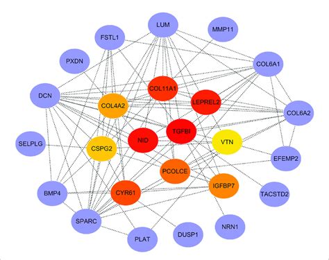 Ppi Network Of Genes In The Red Module And Hub Gene Screening