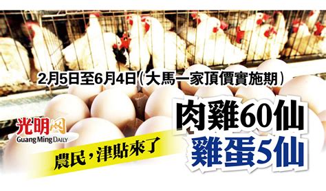 2月5日至6月4日 政府津貼農民 肉雞60仙蛋5仙 國內 2022 02 09 光明日报