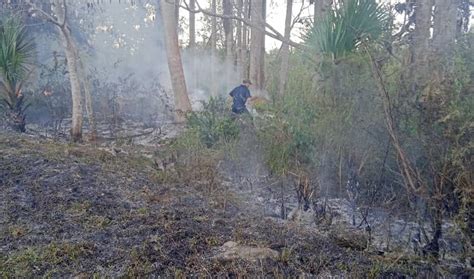 Controlado El Incendio Forestal De La Ciénaga De Zapata Diario De Cuba