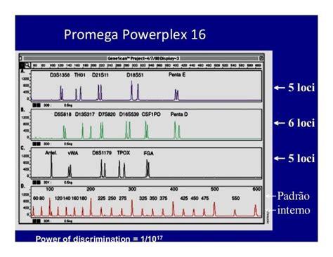 Aula Dna Extraction Purification Emanuel 20 11 12 Ppt 11 1