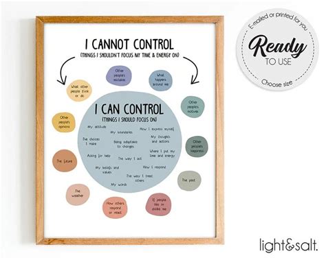 Circle Of Control Poster Things I Can And Cannot Control In