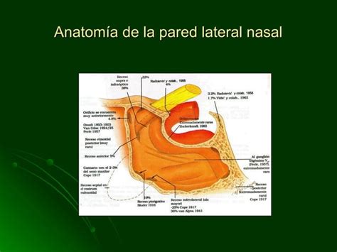 Cirugia Endoscopica En El Papiloma Nasal Ppt