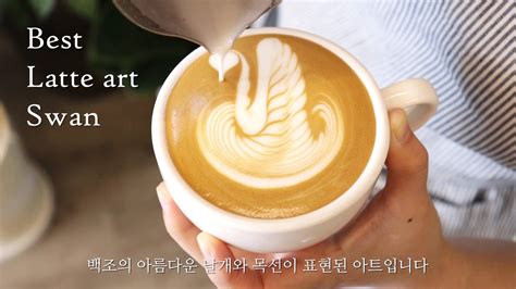 Eng 꿀팁 백조 패턴 라떼아트 3가지 기본부터 응용까지~ Latte Art 3 Designs Swan Cafe