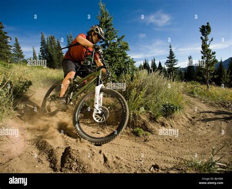 Mountain Biker On A Trail Stock Photo Alamy