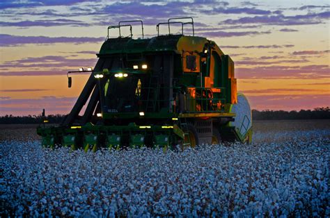 What you really need to know about cotton production - Britt's List