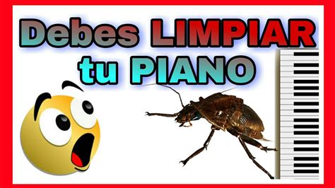 Esto ENCONTRÉ cuando ABRÍ mi Piano Debes limpiar tu piano al menos