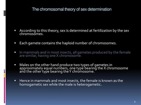 Ppt Anp502 Reproductive Physiology Of Farm Animals Powerpoint