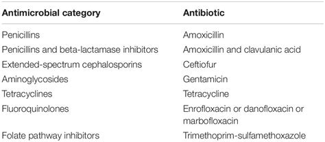 Tetracycline Antibiotics