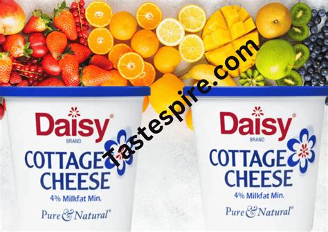 Savoring Sunshine Daisy Cottage Cheese With Fruit Your New Go To