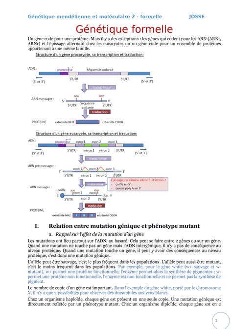3 Genet Formelle Cours génétique Génétique formelle Un gène code