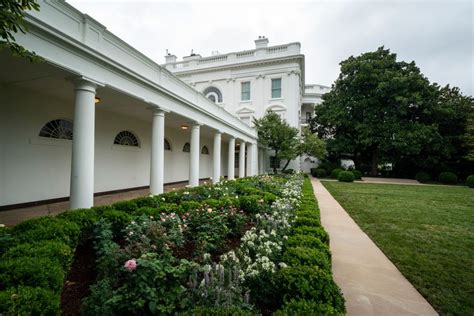 White House Rose Garden History - Melania Trump's Changes to the Rose ...