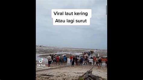 Viral Video Fenomena Air Laut Surut Mirip Tanda Tsunami Di Pantai