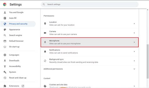 Fix Your Mic is Muted by System Settings in Google Meet – TechCult