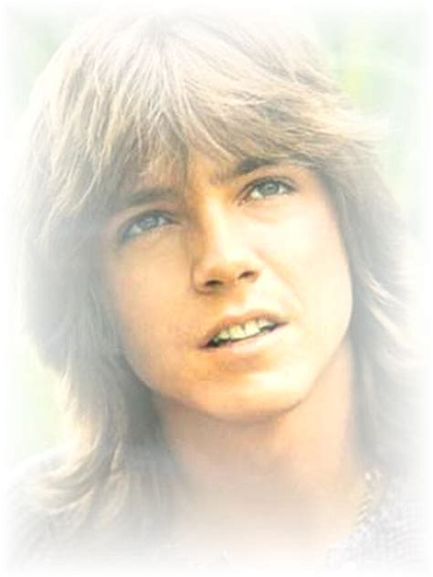 David Cassidy Fan Art By Imprisoneddaydreamer On Deviantart