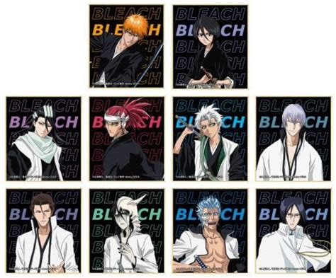 駿河屋 全10種セット 「bleach ブリーチ トレーディングミニ色紙」（紙製品その他）