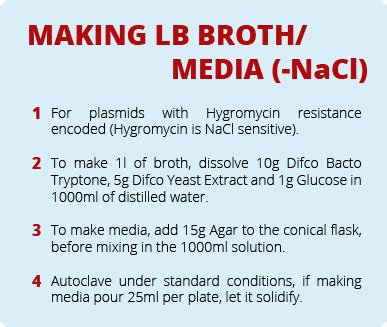 Team Nrp Uea Norwich Labjournal Floor Protocols Igem Org