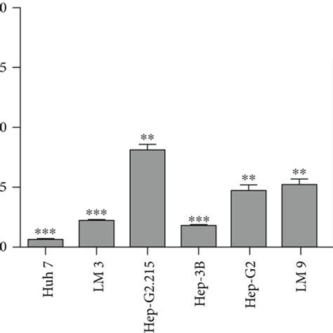 Relative Expression Level Of Mirna P In Hcc Cell Lines And Samples