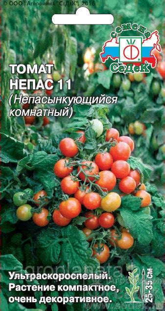 Томат Непас 11, 0.1г: семена, семена овощных культур, семенами, семена ...