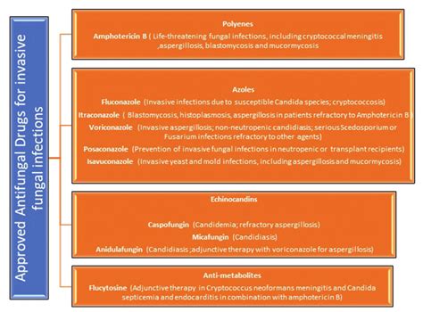 Approved Anti Fungal Drugs Classification And Indications [5] Download Scientific Diagram