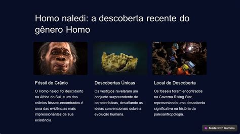 O gênero Homo ppt download