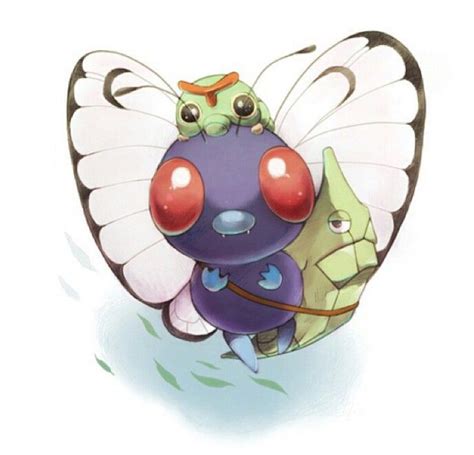 Butterfree Metapod And Caterpie Pokemon Art Pokemon Cute Pokemon