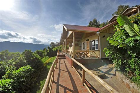 Nkuringo Bwindi Gorilla Lodge Luxury Rates Discounts