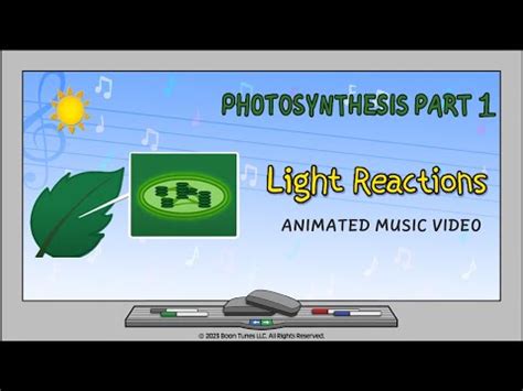 The Best 29 Biology Memes Photosynthesis - animengesz