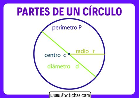 Ficha De Elementos De Una Circunferencia Circunferencia Worksheets