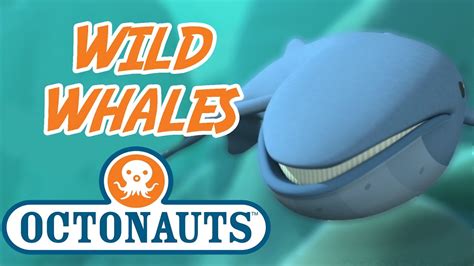 Octonauts Ghost Whale