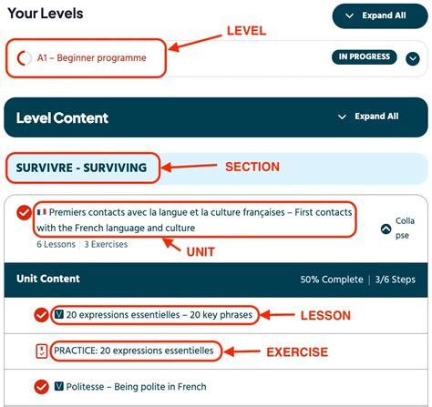 Comment Fonctionne La Plateforme E Learning De Français