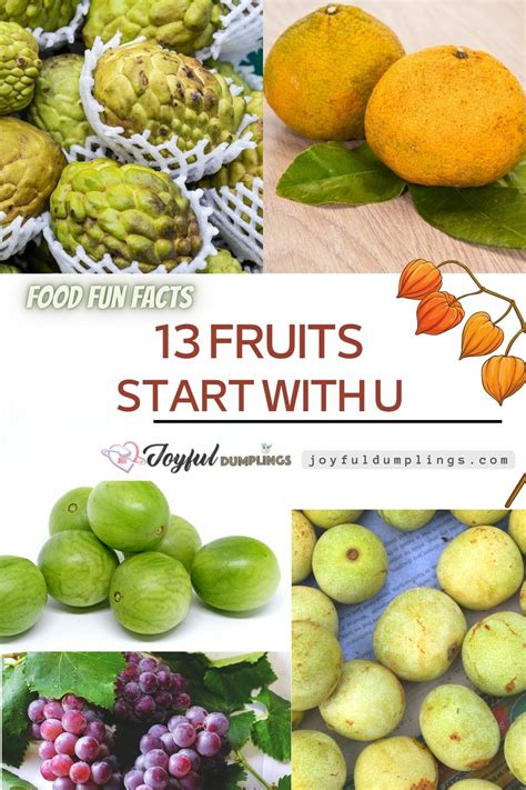 13 Healthy Fruits That Start With U Joyful Dumplings Tasty Vegan Recipes