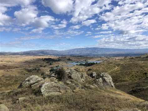 Flat Top Hill Otago Trails Photo Gallery Wild Things