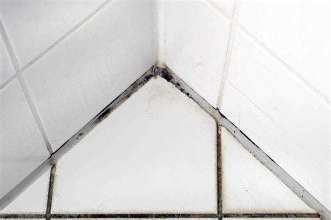 Easy Steps To Remove Mould From Bathroom Sealant Ultimate Guide